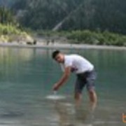  ,   , 38 ,     , c 