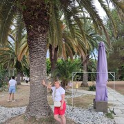 ���������� ������, ���� ������� �����, 54 ����, ������������ ��� ������, ����� � ���������