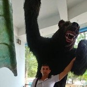 ���������� ��������, ������� ������, 41