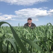 ���������� ������-��-����, ���� ������� �������, 44 ����, ������������ ��� ������, ����� � ���������