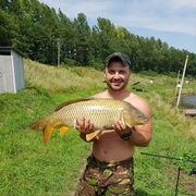 ���������� �������, ���� ������� ����, 43 ����, ������������ ��� ������, ����� � ���������