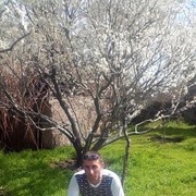 ���������� ������, ���� ������� 094009104, 35 ���, ������������ ��� ������, ����� � ���������, c�������� ���������