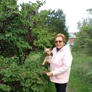 ���������� �����������, ���� ������� ������, 67 ���, ������������ ��� ����� � ���������, c�������� ���������