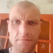  ,   , 41 ,   c , 