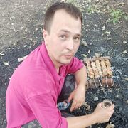 ���������� ���������, ���� ������� ����������, 38 ���, ������������ ��� ������, ����� � ���������, c�������� ���������