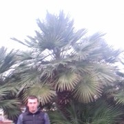 ���������� ���������, ���� ������� �����, 33 ����, ������������ ��� ����� � ���������, c�������� ���������