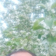 ���������� �������, ���� ������� ����, 54 ����, ������������ ��� ������, ����� � ���������