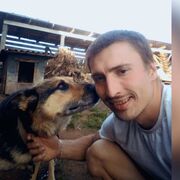 ���������� �������, ���� ������� Pavlik, 31 ���, ������������ ��� ����� � ���������, c�������� ���������