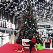 �������� ����� ����