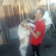  ,   , 37 ,   ,   