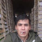 ���������� ��������, ���� ������� Arman, 36 ���, ������������ ��� ������, ����� � ���������, c�������� ���������, ���������