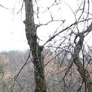 ���������� ��������������, ���� ������� �����, 43 ����, ������������ ��� ������, ����� � ���������, c�������� ���������