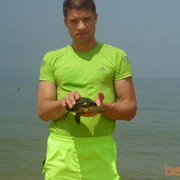  ,   Zoran, 49 ,     , c 