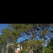 ���������� �����������, ���� ������� �����, 54 ����, ������������ ��� ������, ����� � ���������, c�������� ���������