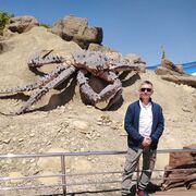 ���������� �������������-����������, ���� ������� ������, 42 ����, ������������ ��� ������, ����� � ���������, c�������� ���������