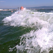 ���������� �����, ���� ������� ������, 48 ���, ������������ ��� ������