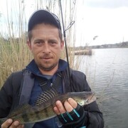 ���������� ���������, ���� ������� ����, 41 ���, ������������ ��� ����� � ���������, c�������� ���������