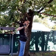  ,   , 41 ,     , 