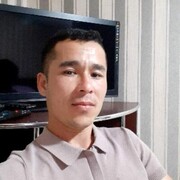 ���������� �������, ���� ������� Zarif, 42 ����, ������������ ��� ������, ����� � ���������, c�������� ���������