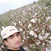 ���������� ������, ���� ������� ���������, 31 ���, ������������ ��� ������, ����� � ���������, c�������� ���������, ���������