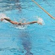 ���������� ������, ���� ������� Saqo, 36 ���, ������������ ��� ������