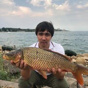  ,  Amir, 40