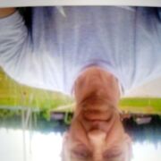  ,   , 61 ,   ,   