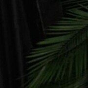 ���������� ������, ���� ������� �����, 56 ���, ������������ ��� c�������� ���������, ���������