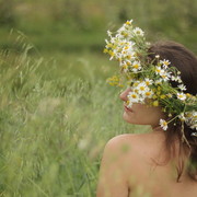 ���������� ������������, ���� ������� �������, 33 ����, ������������ ��� ������, ����� � ���������, c�������� ���������