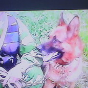 ���������� �������, ���� ������� ���, 55 ���, ������������ ��� ������, ����� � ���������, c�������� ���������