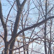 ����́ �����