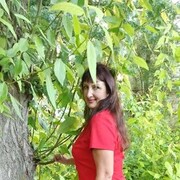  -,   , 51 ,   ,   