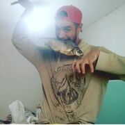 ���������� �����������, ���� ������� ���������, 42 ����, ������������ ��� ������, ����� � ���������, c�������� ���������