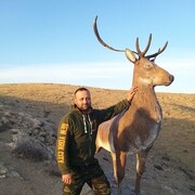  ,   Elmurad, 38 ,   ,   , c , 