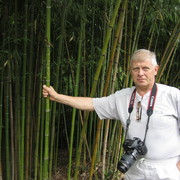  ,   , 72 ,   