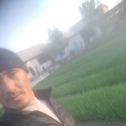  ,  Hasan, 35