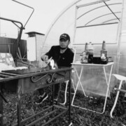 ���������� ������, ���� ������� �������, 31 ���, ������������ ��� ������, ����� � ���������