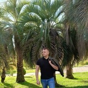 ���������� ����, ���� ������� ������, 43 ����, ������������ ��� ������, ����� � ���������, c�������� ���������