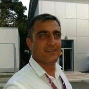  --,   , 41 ,   ,   