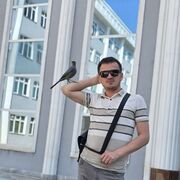  ,  Bayramali, 28