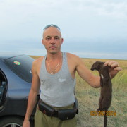 ���������� ������, ���� ������� �������, 41 ���, ������������ ��� ������, ����� � ���������, c�������� ���������