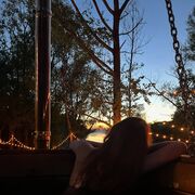 ���������� ������, ���� ������� ������, 21 ���, ������������ ��� ������, ���������