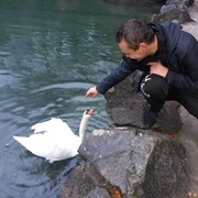 ���������� ����, ���� ������� �����, 38 ���, ������������ ��� ������, ����� � ���������, c�������� ���������, ���������