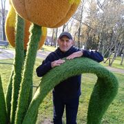  ,   , 50 ,     , c , 