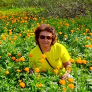  ,   , 56 ,   c 