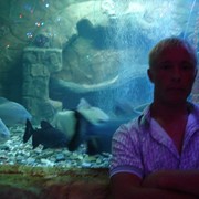 ���������� ���������, ���� ������� ���������, 38 ���, ������������ ��� ������, ����� � ���������, c�������� ���������