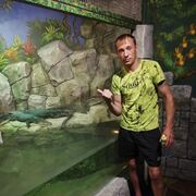  ,   , 41 ,   ,   , c , 