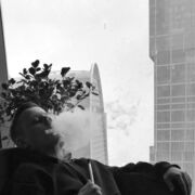 ���������� �����-��������, ���� ����� �������, 25 ���, ������������ ��� ������, ����� � ���������, c�������� ���������