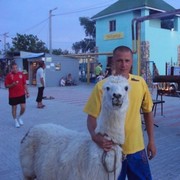  ,   , 43 ,     , c 