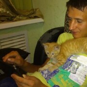  ,   , 36 ,     , c , 